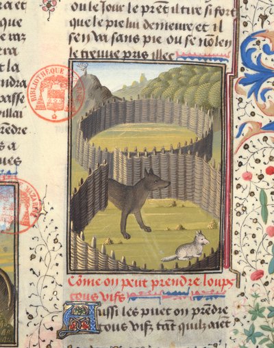 Wolf About to Attack a Lamb, from the Livre de la Chasse by Gaston Phebus de Foix by French School